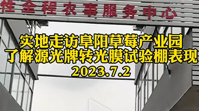 实地走访了解阜阳草莓转光棚表现